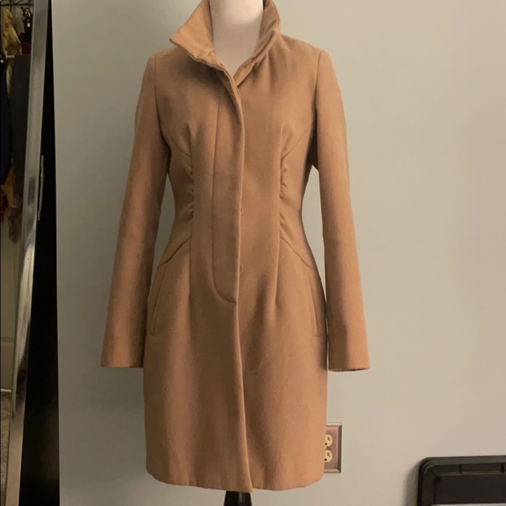 Chestnut/Tan Coat